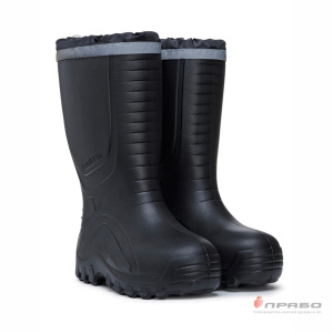 Сапоги мужские ЭВА Striker артикул 2002НУ чёрные (40 см)